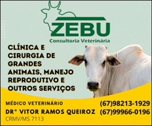 Banner 300x250 - Zebu